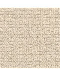 Masland Defined Buff Beige Carpet - 9717-717