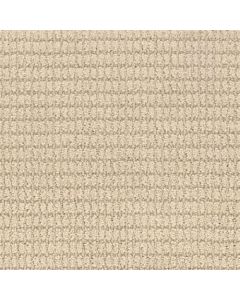 Masland Defined Greige Carpet - 9717-731