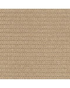 Masland Defined Doubloon Carpet - 9717-751