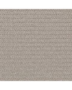 Masland Defined Cobble Path Carpet - 9717-755