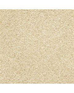 Masland Delray Dune Carpet - 9628-123