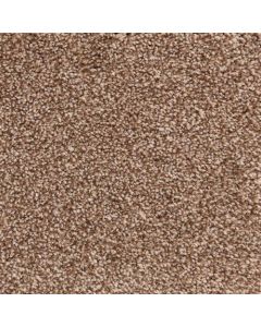 Masland Delray Cliff Carpet - 9628-384