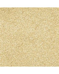 Masland Delray Sunset Carpet - 9628-444