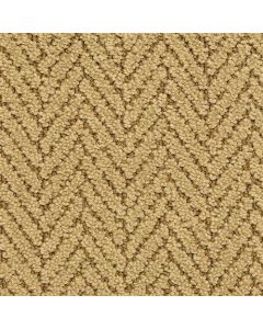 Masland Distinguished Amber Glass Carpet - 9559-788