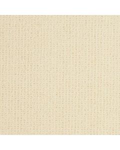 Masland Dublin Callahan Carpet - 9242-10