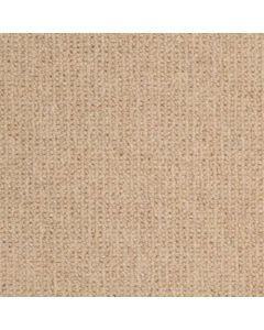 Masland Dublin Flanagan Carpet - 9242-501
