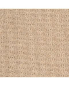 Masland Dublin Gallaher Carpet - 9242-535