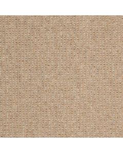 Masland Dublin Malone Carpet - 9242-555