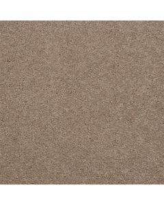 Masland Embrace Bandicoot Carpet - 9501-325
