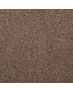 Masland Embrace Chicago Taupe Carpet 326