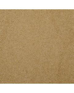 Masland Embrace Anzac Carpet - 9501-414