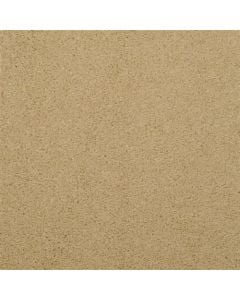 Masland Embrace Cape Honey Carpet 449