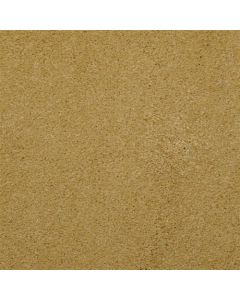 Masland Embrace Energy Carpet - 9501-452