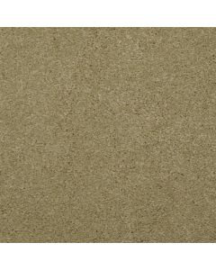 Masland Embrace Avocado Carpet - 9501-547