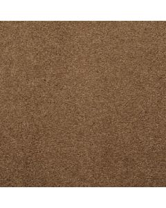 Masland Embrace Barley Carpet - 9501-715