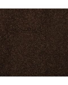 Masland Embrace Cola Carpet 718