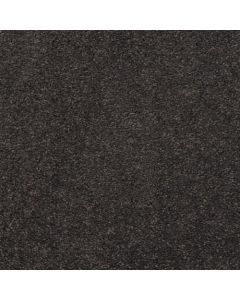 Masland Embrace Bastille Carpet - 9501-833