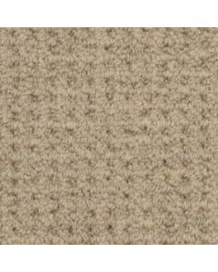Masland Etchings Marble Edge Carpet - 9248-804