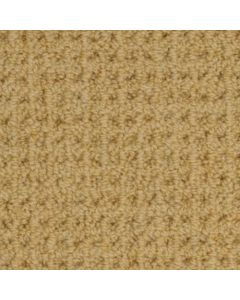 Masland Etchings Carina Carpet - 9248-905