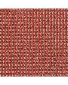 Masland Gallantry Too Lavish Carpet - 9260-988