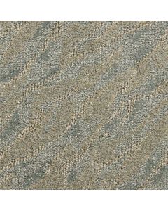 Masland Gamma Daydream Carpet - 9598-641