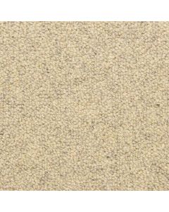 Masland Grantham Monahan Carpet - 9297-800