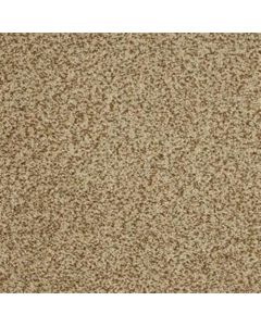 Masland Harbor Town Festival Carpet - 9635-330