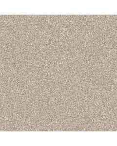 Masland Hunter Sandy Carpet - 9691-761