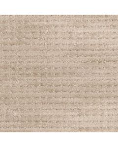 Masland Imagine Fascination Carpet - 9699-728