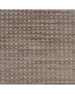 Masland Imagine Thoughtful Carpet - 9699-839