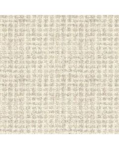 Masland Inspiration Light Grey Carpet - 9183-729