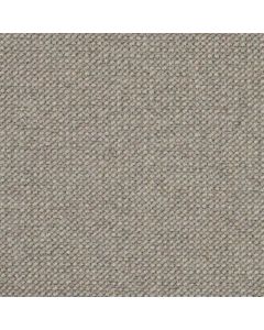 Masland Intention Fossil Carpet - 9193-103