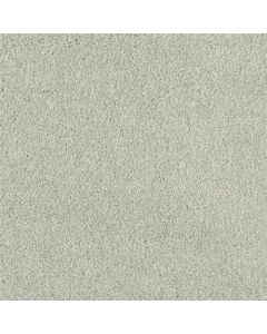 Masland Key West Tree Moss Carpet - 9497-742