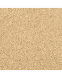 Masland Key West Ambiance Carpet - 9497-947