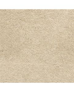 Masland Knockout Prairie Carpet - 9615-238