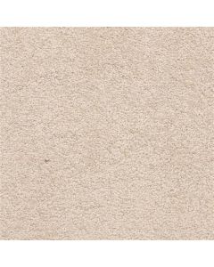 Masland Knockout Canvas Carpet - 9615-258