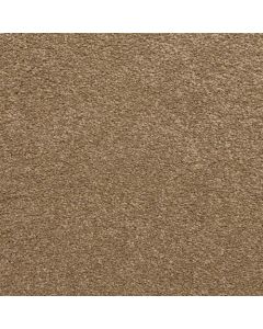 Masland Knockout Almond Carpet - 9615-309