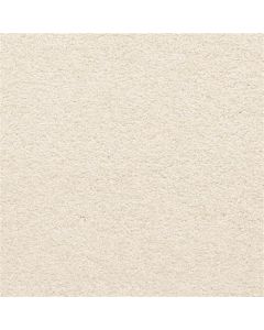 Masland Knockout Bare Carpet - 9615-32