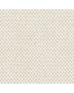Masland La Parade Antique Lace Carpet - 9716-719