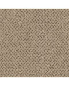 Masland La Parade Bistre Carpet - 9716-755