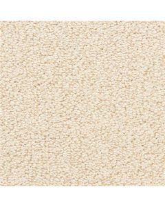 Masland Marina Del Mar Complexion Carpet - 9614-242
