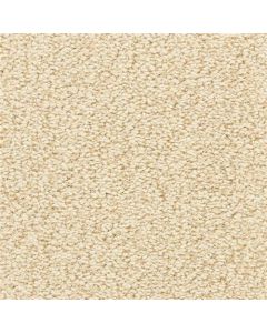 Masland Marina Del Mar Cider Carpet - 9614-248