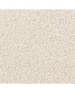 Masland Marina Del Mar Froth Carpet - 9614-256