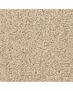 Masland Marina Del Mar Cabin Fever Carpet - 9614-355