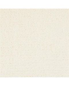 Masland Matisse Millstone Ivory Carpet 14