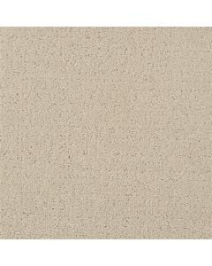 Masland Matisse Smokestone Carpet 502