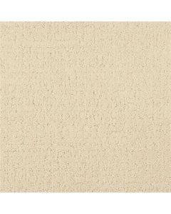 Masland Matisse Sandstorm Carpet 512