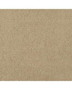 Masland Matisse Briar Bush Carpet - 9493-556