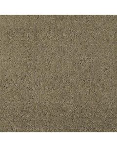 Masland Matisse Coffee Bean Carpet - 9493-671
