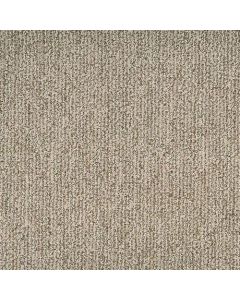 Masland Mesa Bella Bota Carpet - 9645-361